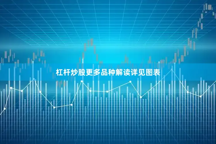 杠杆炒股更多品种解读详见图表