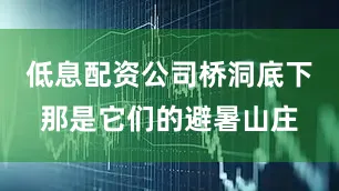 低息配资公司桥洞底下那是它们的避暑山庄