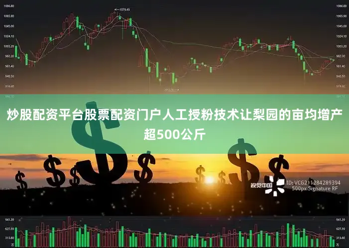 炒股配资平台股票配资门户人工授粉技术让梨园的亩均增产超500公斤